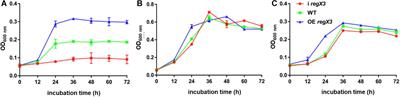 RegX3-Mediated Regulation of Methylcitrate Cycle in Mycobacterium smegmatis